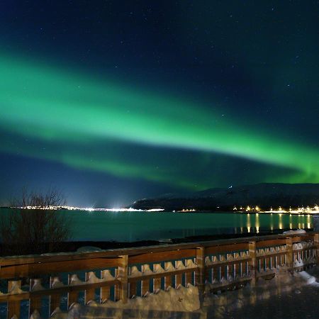 Vikran Vacation: Sea Fishing And Northern Lights エクステリア 写真
