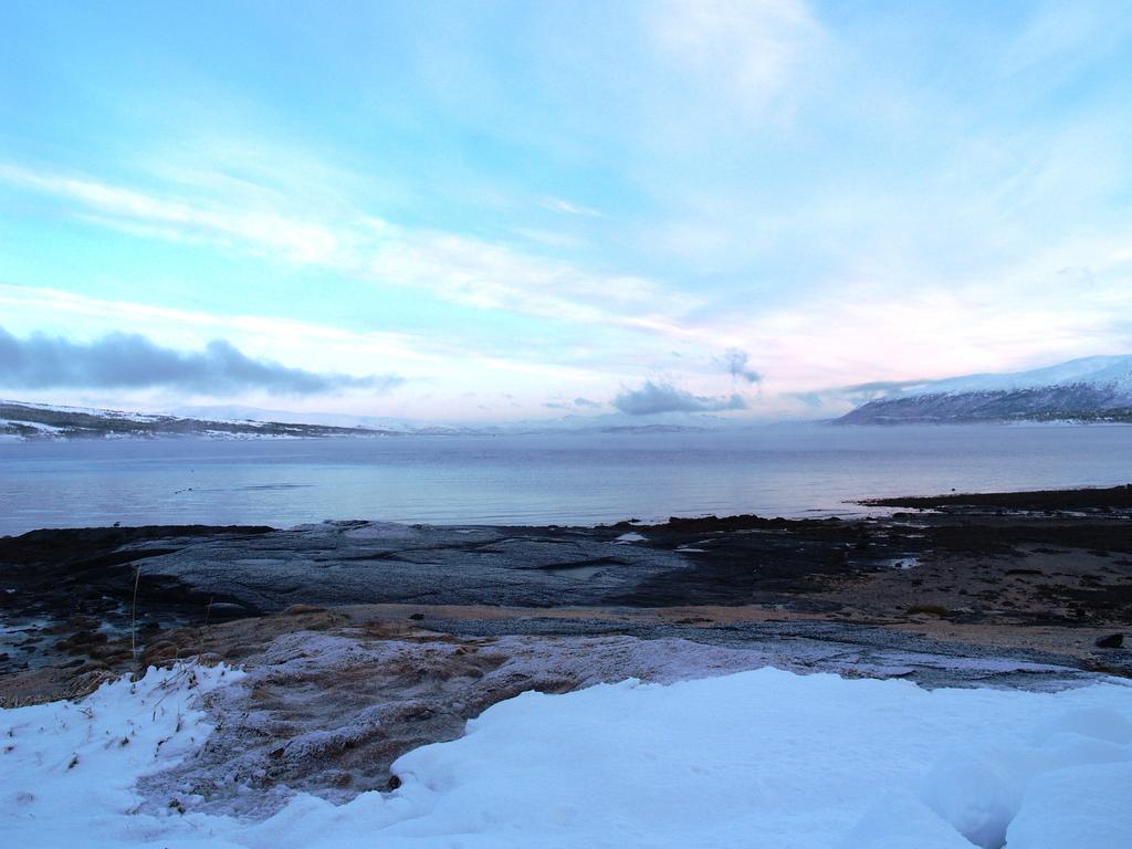 Vikran Vacation: Sea Fishing And Northern Lights エクステリア 写真