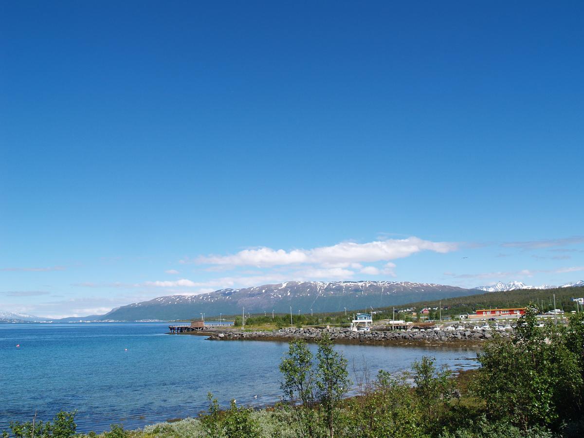 Vikran Vacation: Sea Fishing And Northern Lights エクステリア 写真