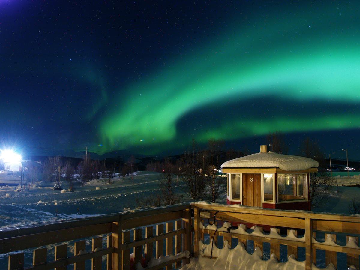 Vikran Vacation: Sea Fishing And Northern Lights エクステリア 写真