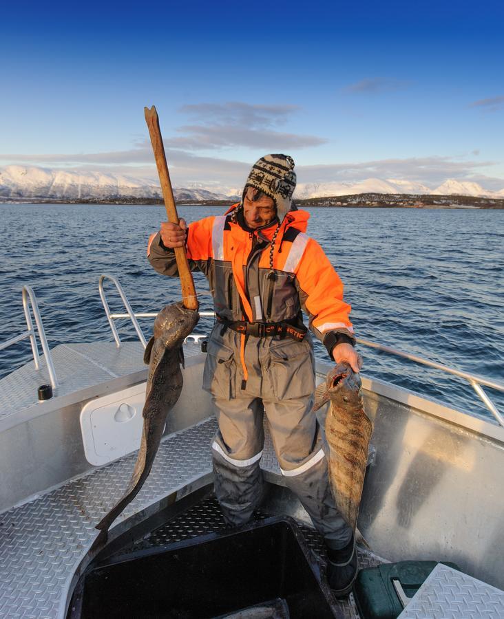 Vikran Vacation: Sea Fishing And Northern Lights エクステリア 写真