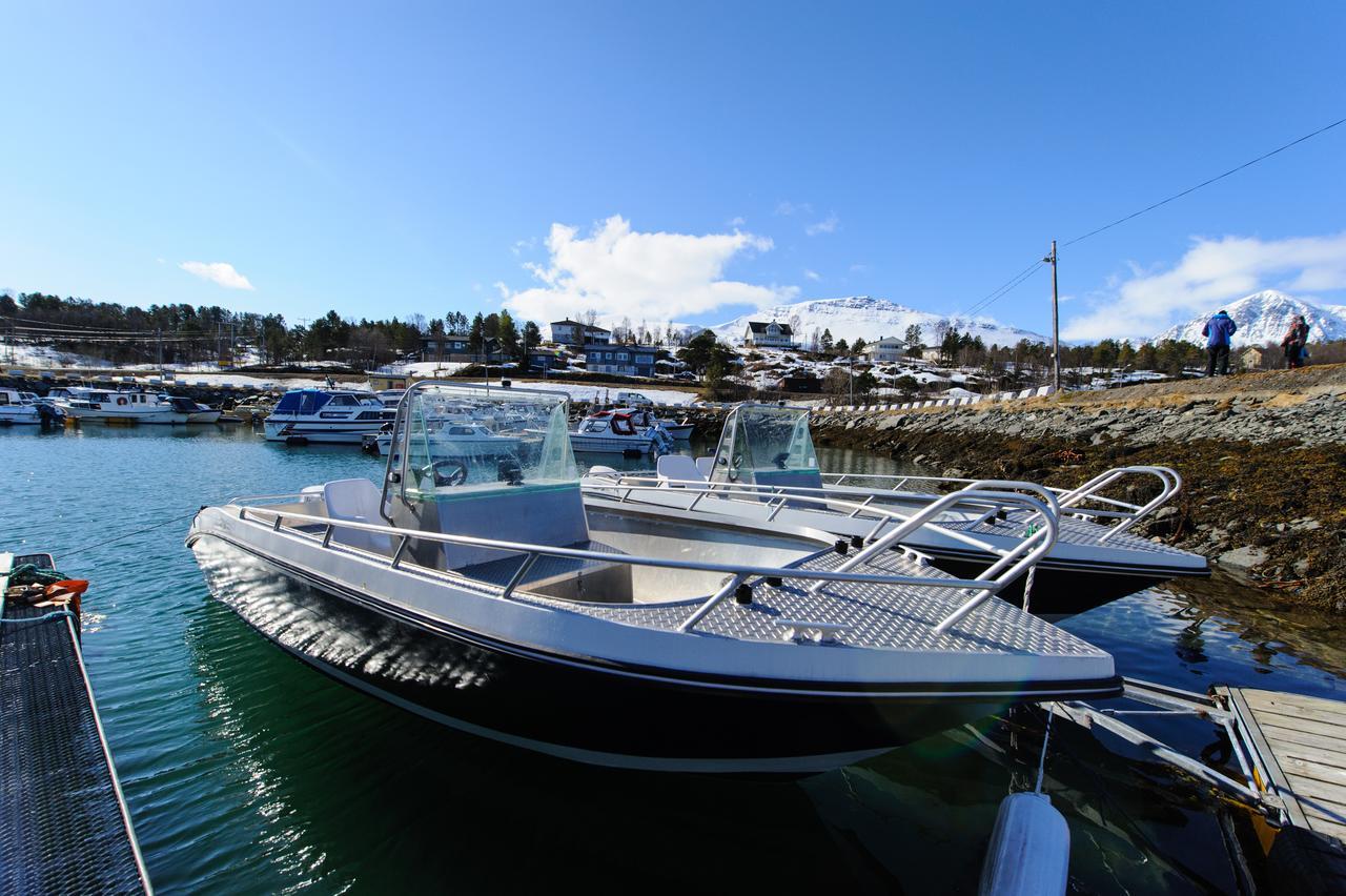 Vikran Vacation: Sea Fishing And Northern Lights エクステリア 写真
