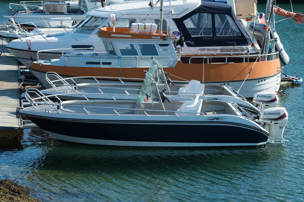 Vikran Vacation: Sea Fishing And Northern Lights エクステリア 写真