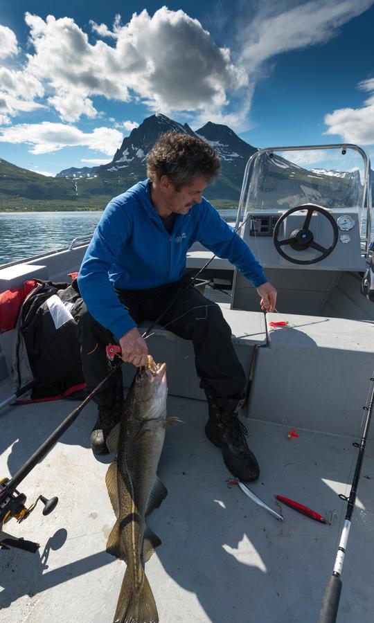 Vikran Vacation: Sea Fishing And Northern Lights エクステリア 写真