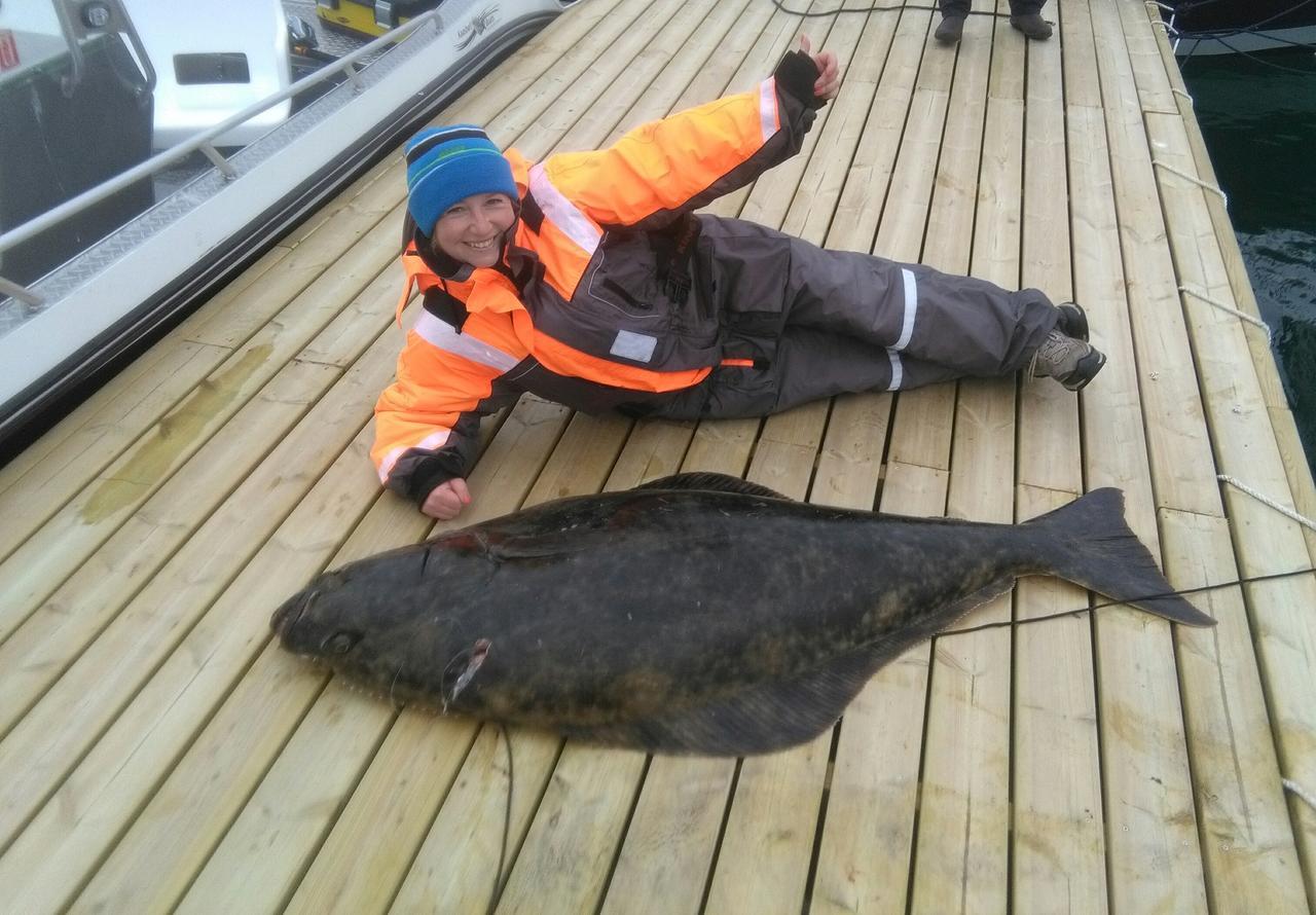 Vikran Vacation: Sea Fishing And Northern Lights エクステリア 写真