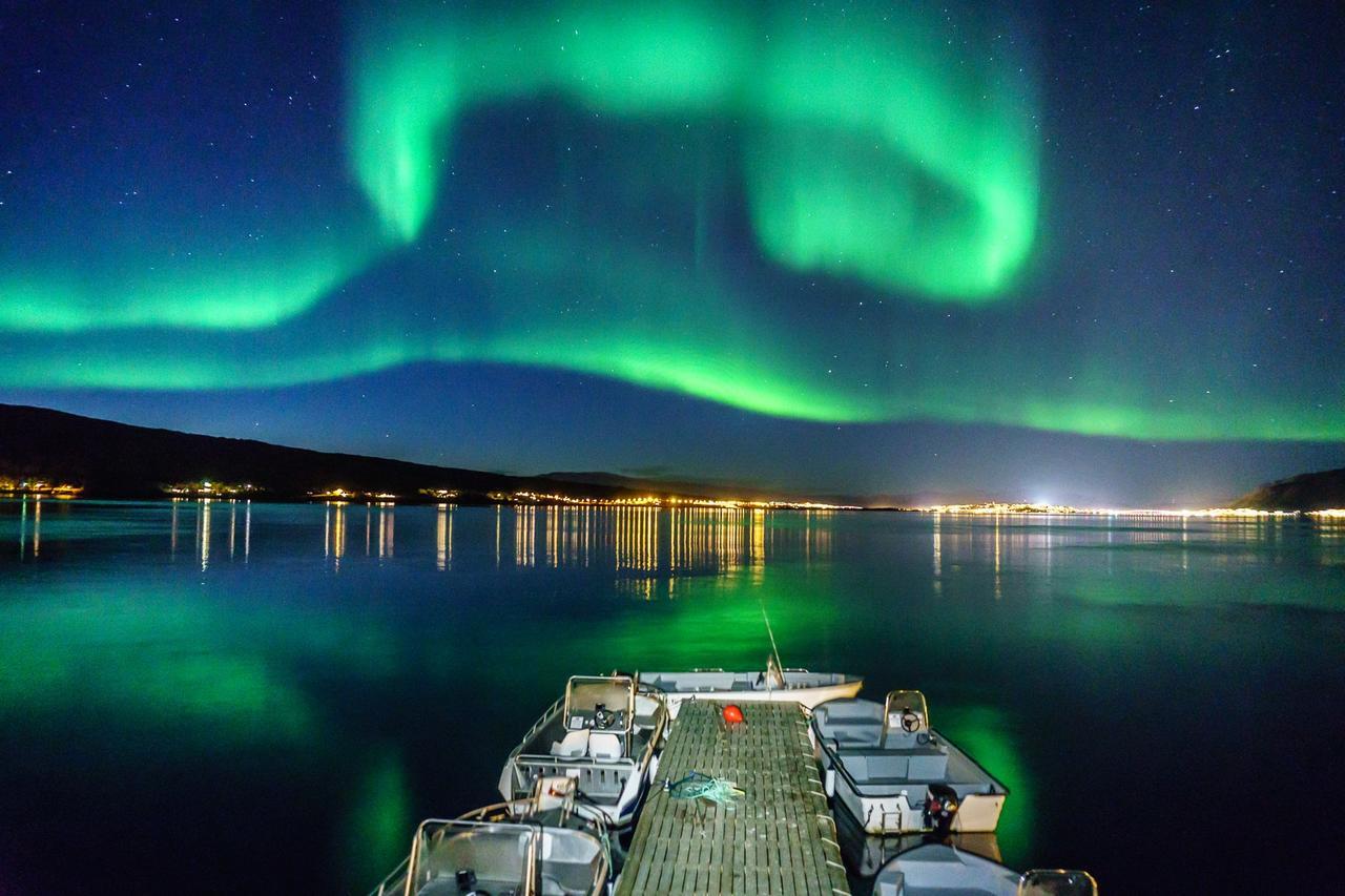 Vikran Vacation: Sea Fishing And Northern Lights エクステリア 写真