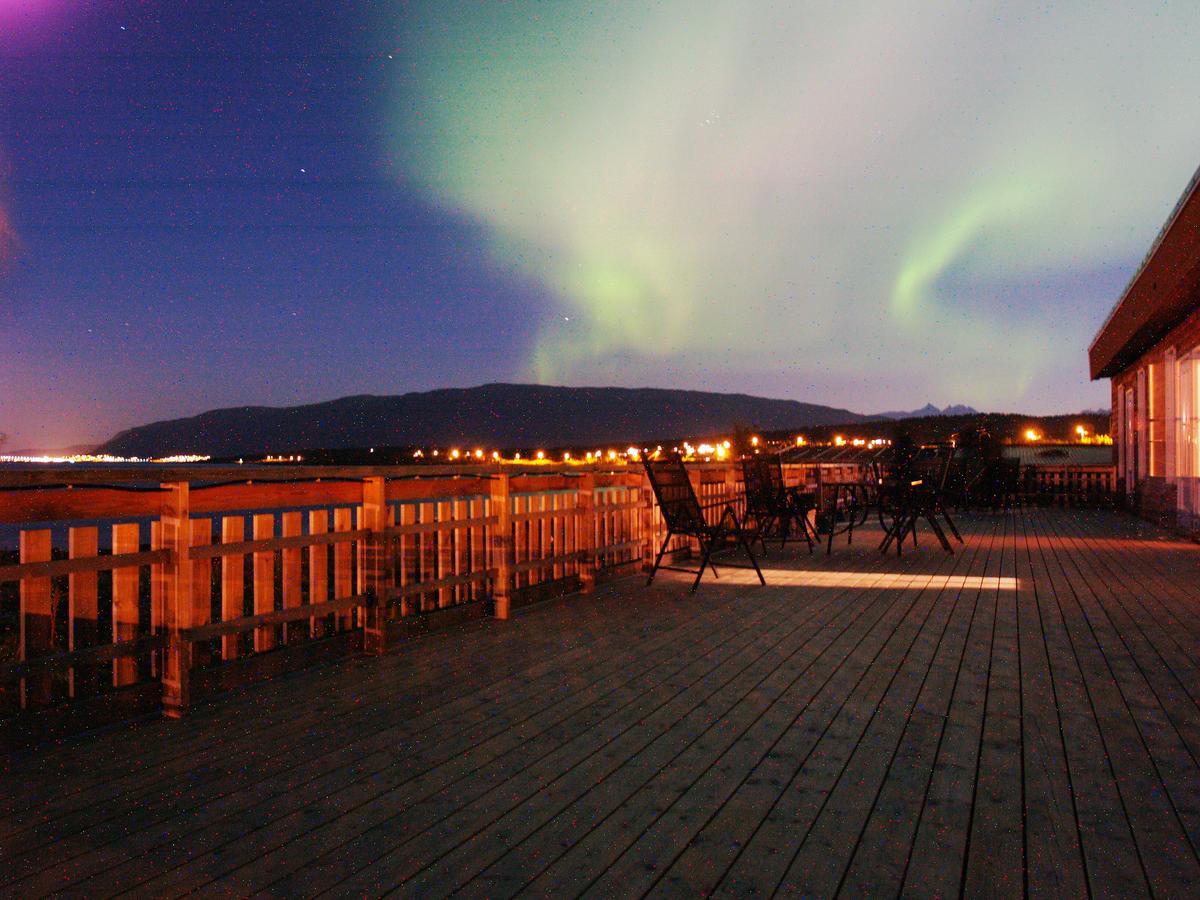 Vikran Vacation: Sea Fishing And Northern Lights エクステリア 写真