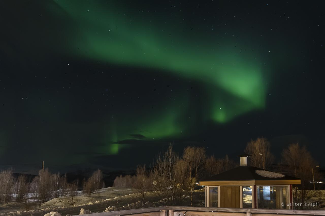 Vikran Vacation: Sea Fishing And Northern Lights エクステリア 写真
